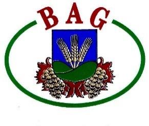 Bag Nagyközség Önkormányzat Képviselőtestületének 5/2017. (VI.29.