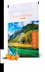 Receptje: 1 kávéskanál ORGANIC SEA BERRY, 1 kávéskanál ORGANIC GOJI, plusz 15 csepp FYTOMINERAL, egy pohár vízben elkeverve, mindennap.