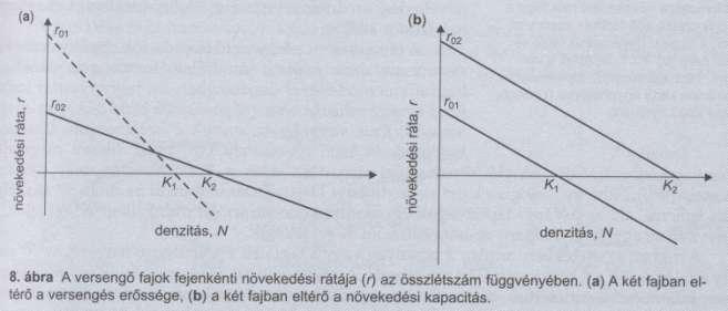 Verseny egyetlen szabályozó tényező esetén Ha két faj verseng, amelyek egyedszámát egyetlen közös szabályozó tényező befolyásolja akkor a