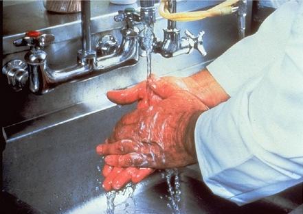 I. Biztonsági fokozatú laboratórium (BSL-1 vagy ABSL-1) jellemzők, gyakorlat és