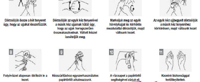 LÁTHATÓ SZENNYEZŐDÉS, SPÓRÁS BAKTÉRIUM KOLONIZÁCIÓ