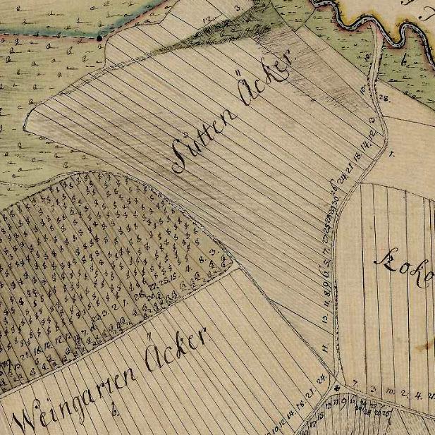 1781. évi úrbéri térkép Forrás: Magyar Országos Levéltár - http://maps.hungaricana.hu/hu/9841/?