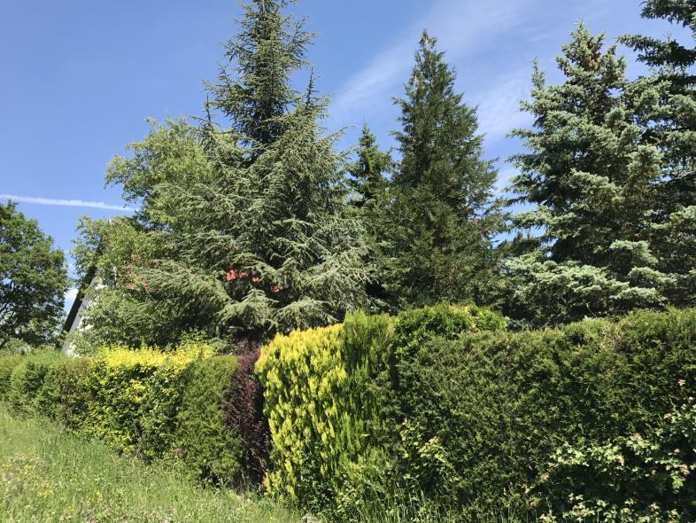 D) KERTEK A kerteknél felhasznált képek egy része átfedésben van a korábban bemutatott példákkal, mivel egyazon fotón több különböző jó példa is szerepelhet. Börzsönyliget egyik legszebb kertje.