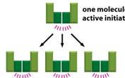 Aktív effektor kaszpázok (sok molekula) proteolízis EMBER: 11