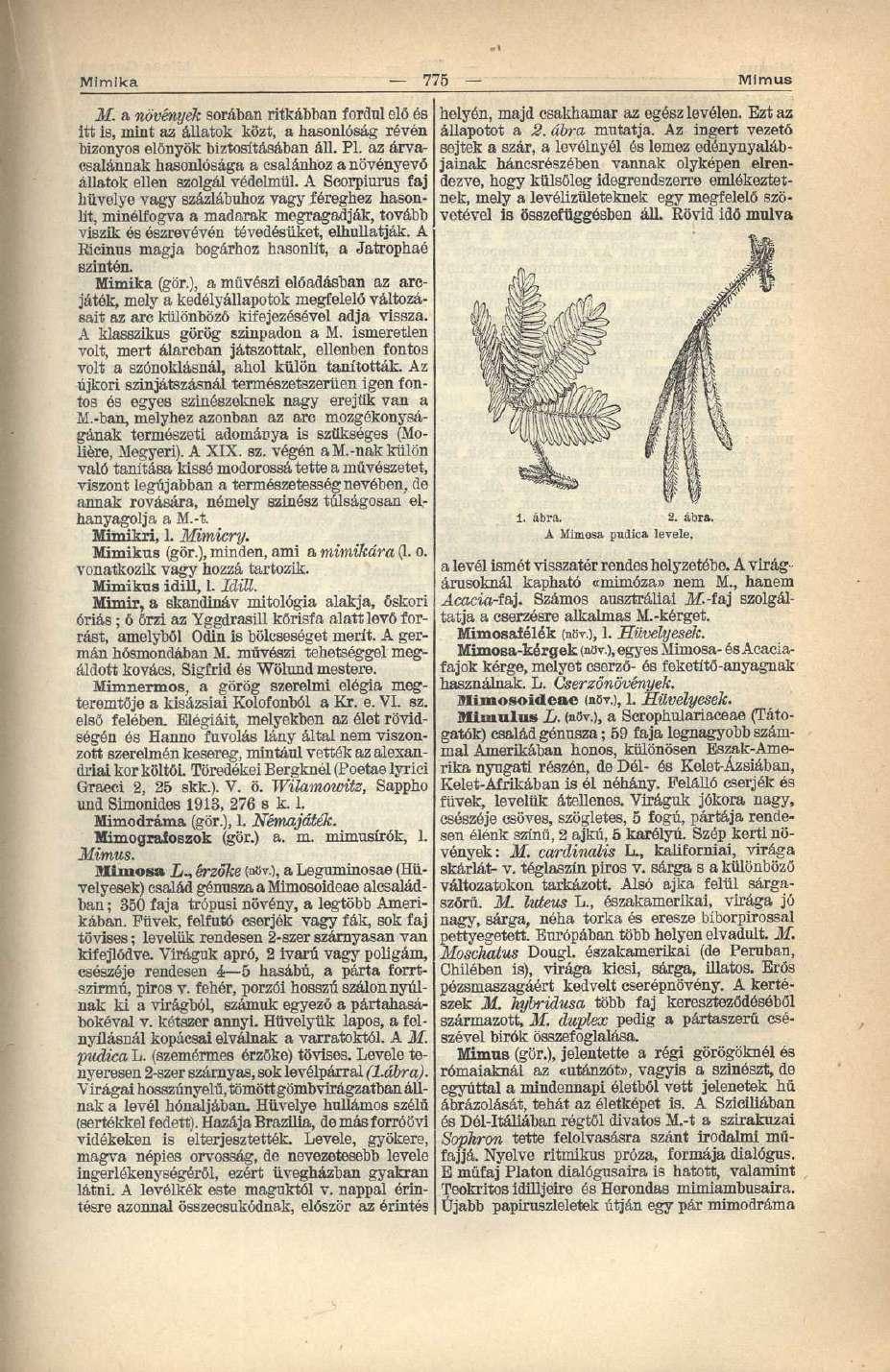 Mimika 775 Mimus M. a növények sorában ritkábban fordul elő és itt is, mint az állatok közt, a hasonlóság révén bizonyos előnyök biztosításában áll. Pl.