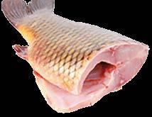 (szürkeharcsa) 5% - 1-2 kg Akció/ Tipp Harcsa máj