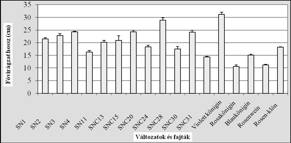 A 4. ábra a változatok és fajták fővirágzat hosszát veti össze. Maximális értéket a Violett Königin és az SNC24 változat mutatott.
