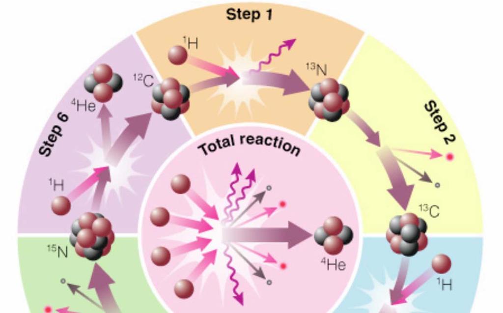 High-mass main sequence stars fuse H to He