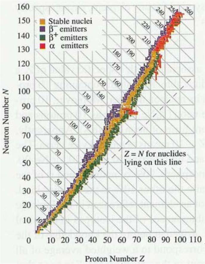 ; 163: E unst, nincs bomlás) A Tc (Z=43), Pm (Z=61) és a Bi-nál (Z=83) nehezebb elemek mind radioaktívak Magok stabilitásért a neutronok felelnek