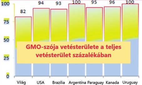 24 A fenntartható fejlődés és az állam feladatai I.9.