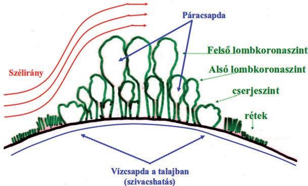 322 A fenntartható fejlődés és az állam feladatai IX.7.