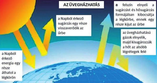 Világunk meghatározó társadalmi-gazdasági folyamatai 57 az erdők jelentős visszaszorulása többek között az azokban megkötött CO 2 felszabadulásával járt együtt, továbbá megváltoztatta a szárazföldi