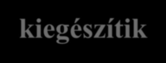 Önkéntesek a katasztrófavédelemben különleges szaktudás: búvár, barlangász, kutyás mentő, alpinista, magasból-, mélyből