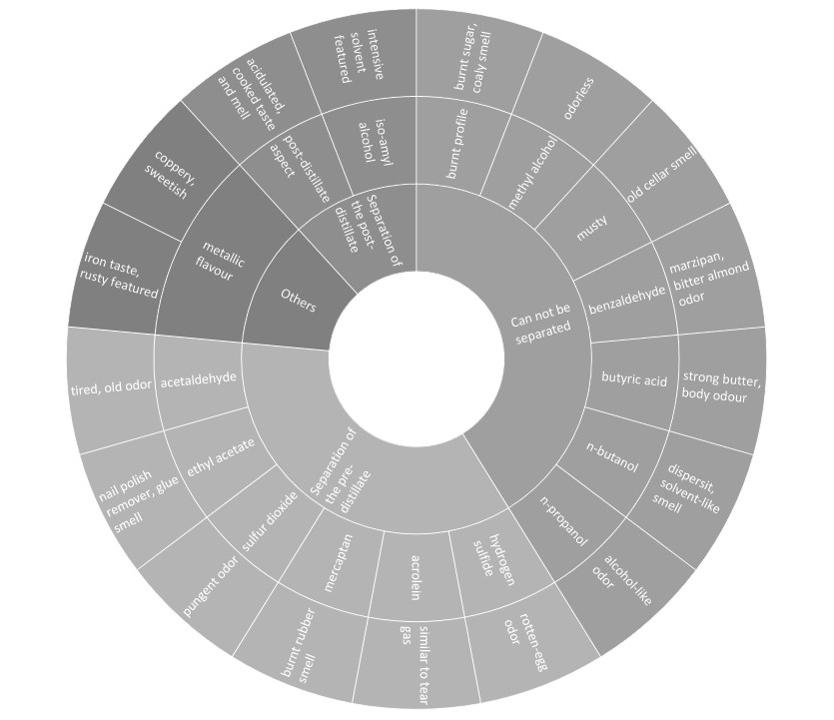 Flavour Wheel of Pálinka Faults)