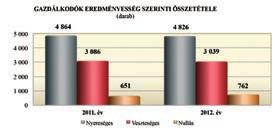 A 2012. évi adózás előtti eredmény csökkenését egyszerre okozta a nyereség csökkenése és a veszteség növekedése.