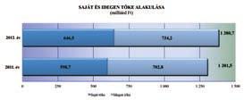 Források összetétele A megyei társas vállalkozások saját forrása az összes eszköz 46,8%-át finanszírozta, összege 646,5 milliárd Ft-ot tett ki 2012.