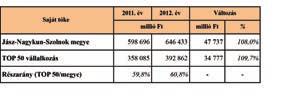 A Stadler Szolnok Vasúti Járműgyártó Kft. eszközeinek értékét 11,3%-kal 14,7 milliárd Ft-ra emelte, így 2012. évben az ötödik helyre került.