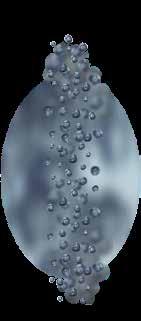 nm (0,01 µm) Hajszál vastagsága Pórus mérete Sejt mérete