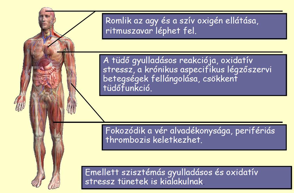 A kisméretű