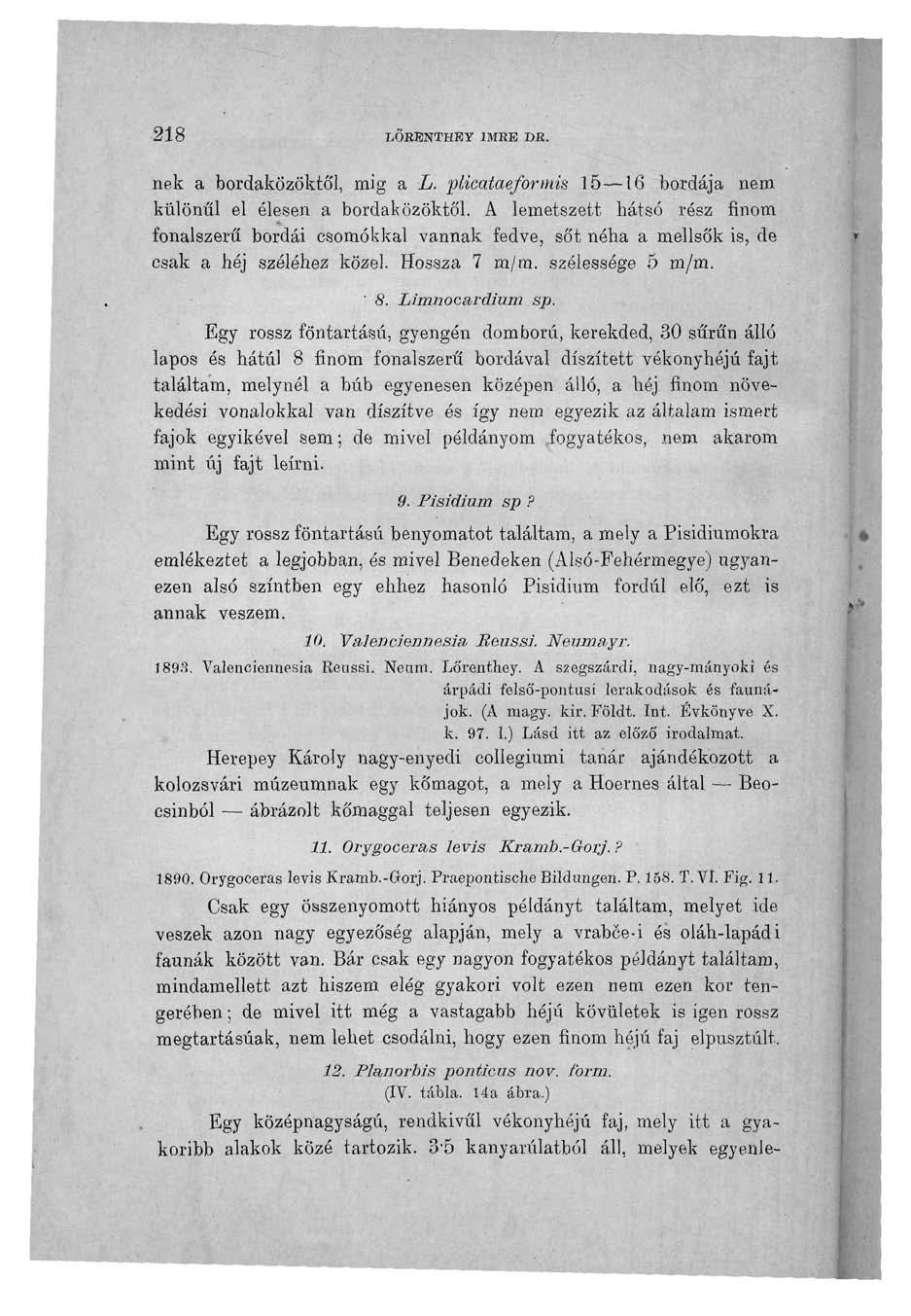 218 LŐRENTHBY IMRE DR. nek a bordaközöktől, mig a L. plicataeformis 15 16 bordája nem különül el élesen a bordaközöktől.