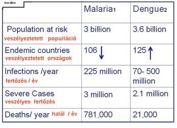 DENGUE elõfordulása a 2010-es felmérések alapján: A konferencián elhangzottakat több szempont szerint lehetne kategorizálni, de talán az alábbi témakörök szerinti felosztás látszik a legcélszerûbbnek.