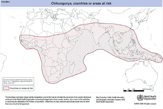 A Chikungunya által fertõzött területek aránylag távol esnek Európától. geográfiai elterjedését szemlélteti úgyszintén az elõadásokból kiemelt alábbi ábra.