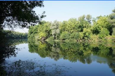 Táji és természeti értékek külterületen Köröstarcsa Natura 2000 területeinek a Fekete-, Fehér és Kettős-Körös valamint a Sebes-Körös jóváhagyott, kiemelt jelentőségű természetmegőrzési területen