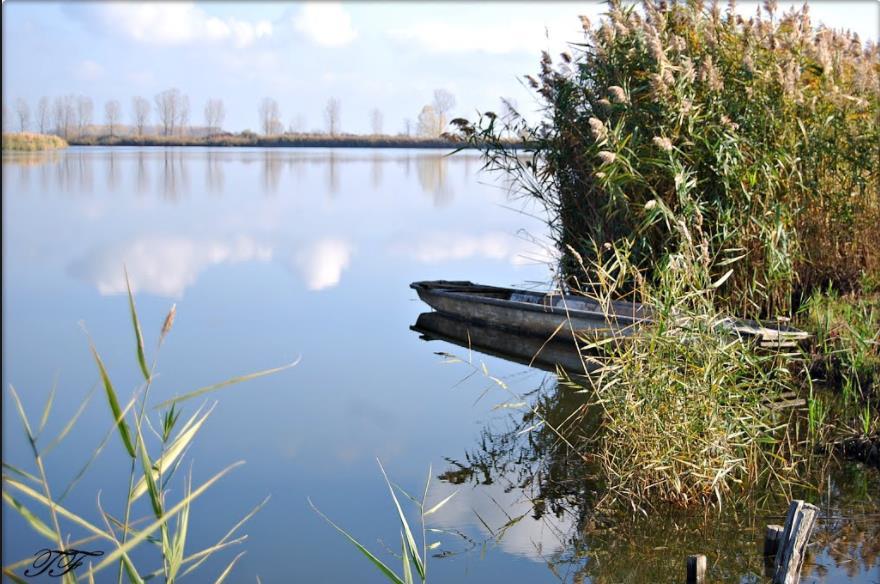 A Körös-Maros Nemzeti Park Igazgatósága az országos jelentőségű védett és fokozottan védett természeti területek természetvédelmi kezeléséért felelős szerv. A Körösök összefolyása.