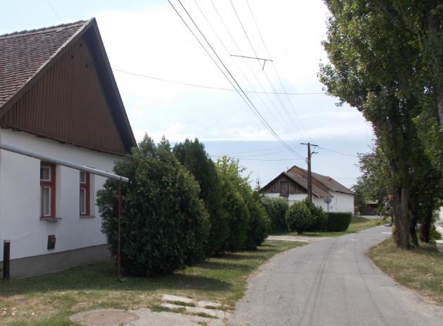 sarkán készült a kép A kis