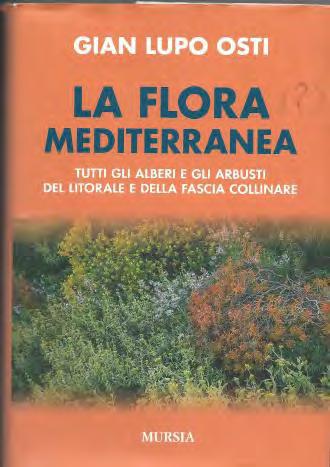Rientri nelle "Fiabe della virtù", di panziniana (d'alfredo Panzini) memoria. Sono contento del 'rientro' di alcuni collaboratori e delle nuove acquisizioni. Peccato sempre per il Prof.