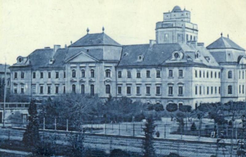 a széklet vizsgálata féregtojásokra mennyibe kerül a parazitáktól