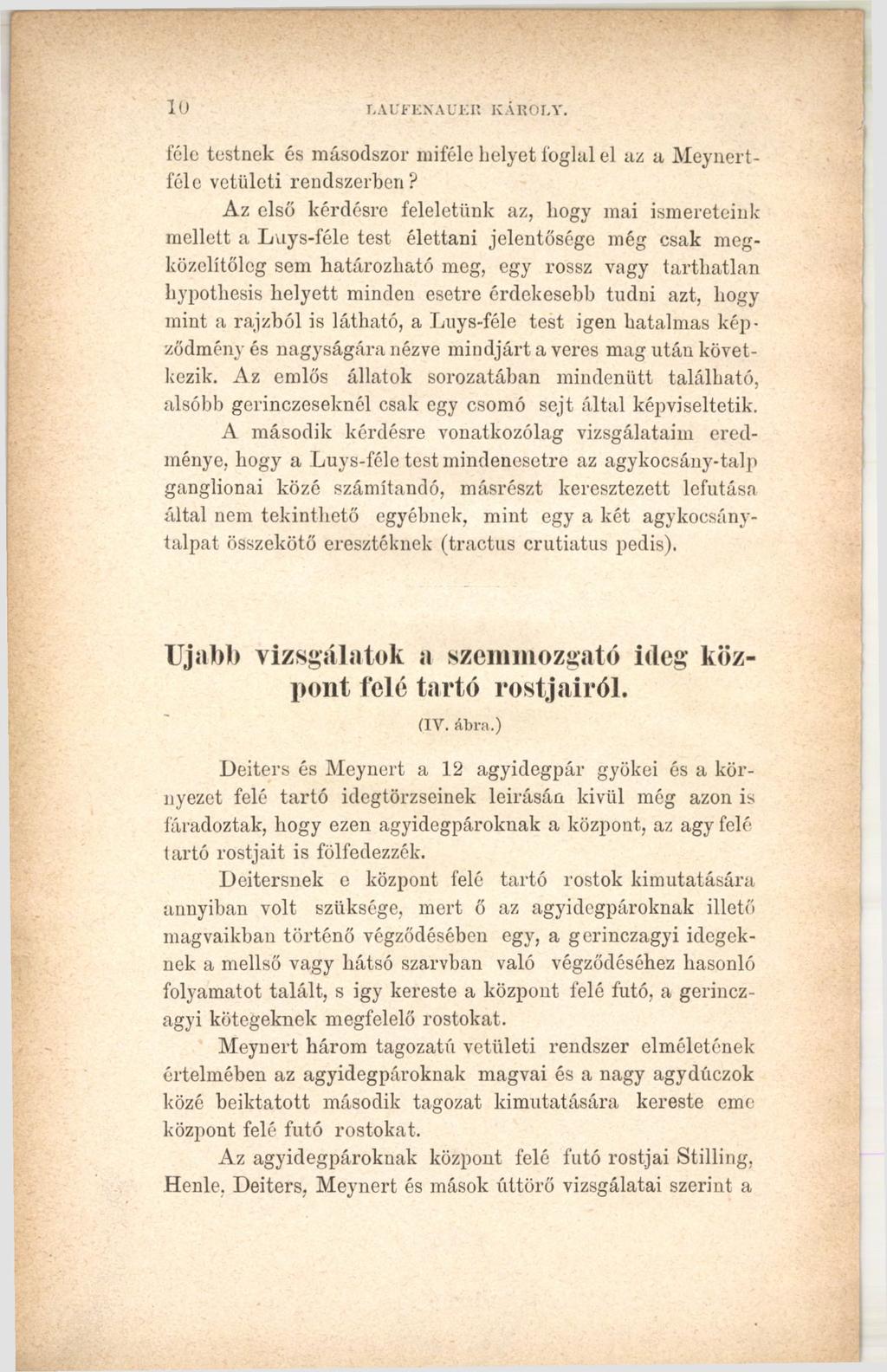 10 ПAUFENAUER KAROLY. féle testnek és másodszor miféle helyet foglal el az a Meynertféle vetületi rendszerben?