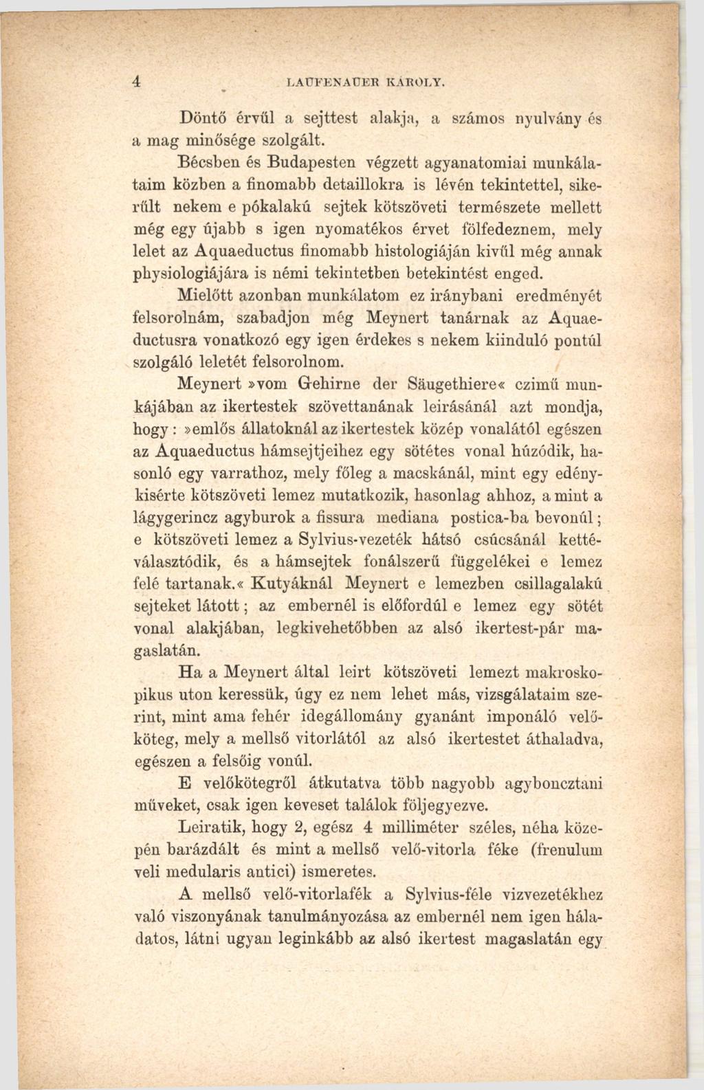 4 LAÜFENAÜER KAROI.Y. Döntő érvül a sejttest alakja, a számos nyúlvány és a mag minősége szolgált.