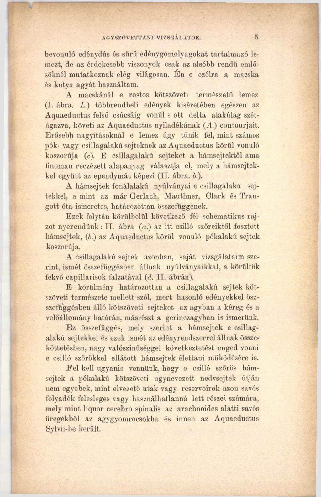 AUYSZÖVKTTANI VIZSGÁLATOK. 5 bevonuló edénydús és sűrű edénygomolyagokat tartalmazó lemezt, de az érdekesebb viszonyok csak az alsóbb rendű emlő- / söknél mutatkoznak elég világosan.