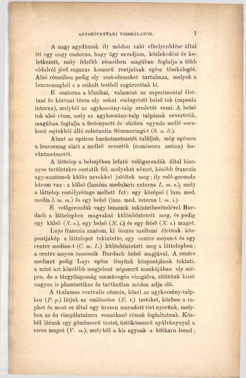 AGYSZÖVETTANI VIZSGÁLATOK.