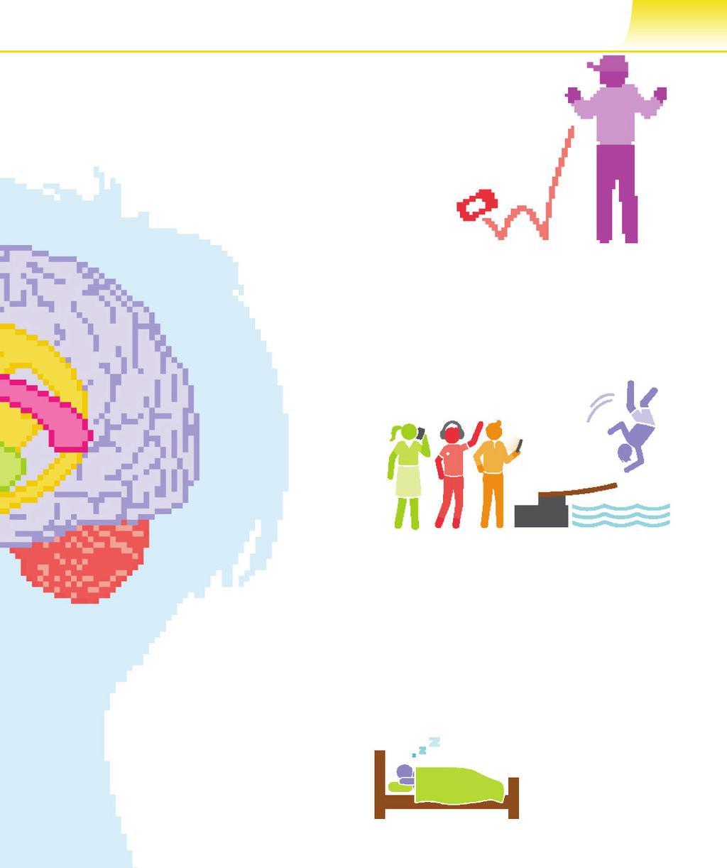 A kamaszok agya 15 Kérgestest (Corpus callosum) Ez az idegrost köti össze a jobb és bal agyféltekét. A kamaszkor során megvastagszik, és ennek következtében fejlődik a problémamegoldó képesség.