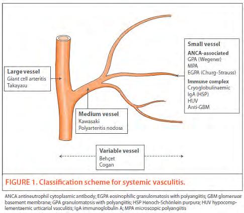 J. C. Jennette et al ARTHRITIS &