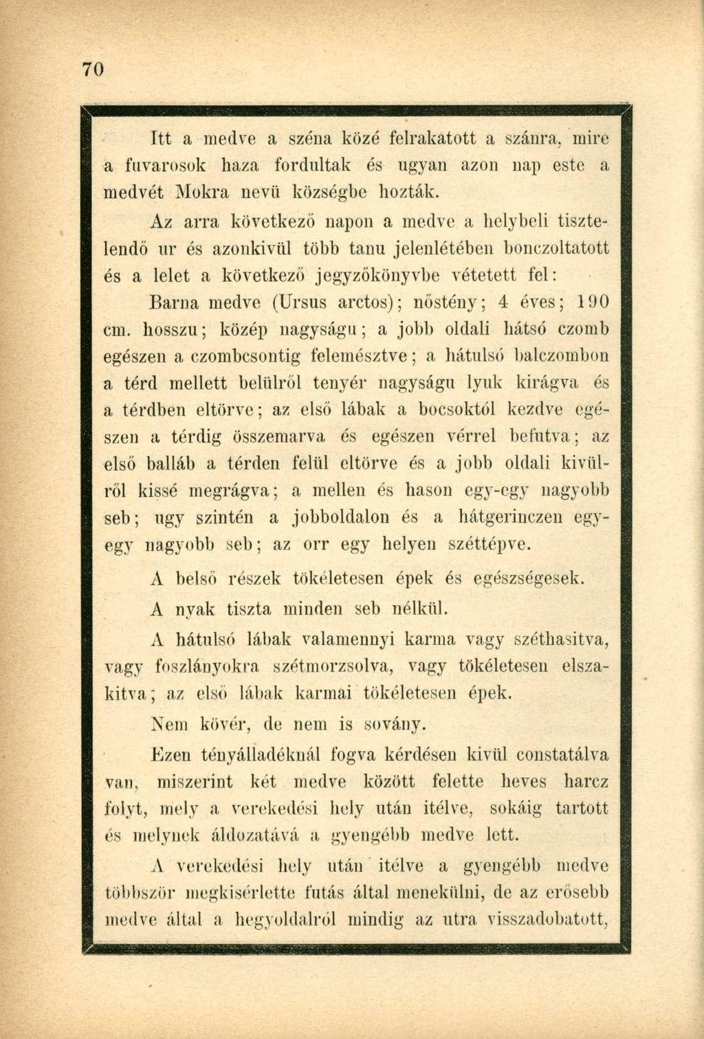 Itt a medve a széna közé felrakatott a szánra, mire a fuvarosok haza fordultak és ugyan azon nap este a medvét Mokra nevű községbe hozták.