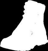 10002317 ARIAT