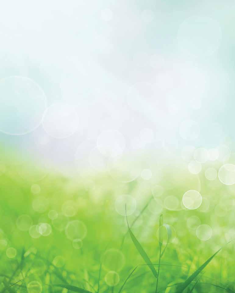 Az Állattenyésztési Szakáruház Anitech Tenyésztés Légyfogó tekercs 10m x 40 cm Légyfogó