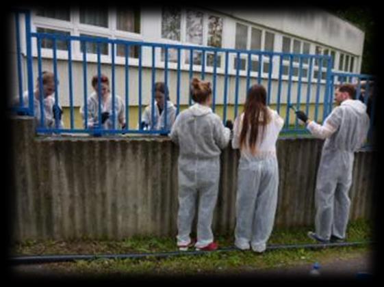 Karitatív tréning szervezése Igény esetén segítő-karitatív