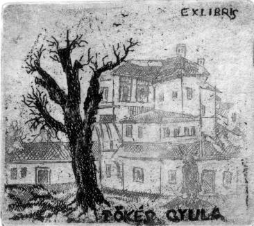 Lajos (1936 ), X2, 67 46