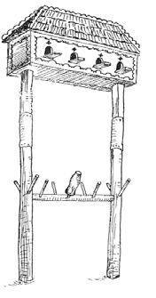 èriedy býkov ktorá pri poloextenzívnom chove bola na pastvinách od jari do jesene ráno zvieratá vyhnali na pastviny, odkia¾ sa vrátili až veèer (Danter 2000, 165 166).