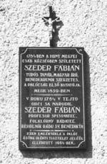 Je známe, s akou usilovnos ou zbierajú Anglièania a rancúzi nielen dávne verše a spevy svojich vlastných predkov, ale aj ïaleko žijúcich národov. Nemenej známe sú aj podobné snahy Talianov.