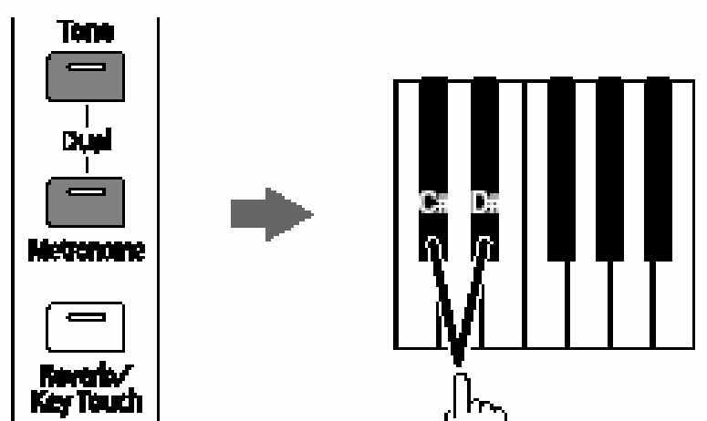 2 Tartsa lenyomva a [Tone] gombot, majd nyomja meg a [Metronome] gombot. Egy másik hangszín (a Dual hangszín) szólal meg együtt az 1-es lépésben kiválasztott hangszínnel.