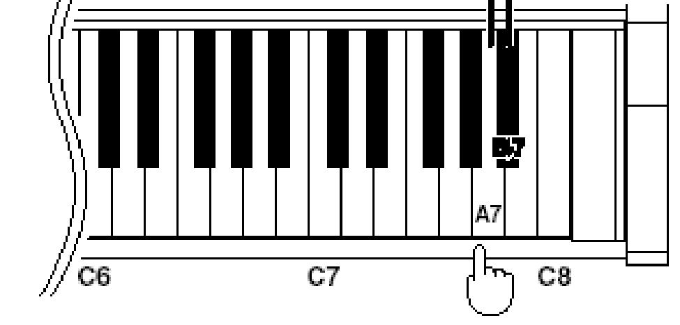 Miközben lenyomva tartja a [Metronome] és [Reverb/ Key Touch] gombot a Bb7 megnyomásával bekapcsolja (On), az A7 megnyomásával pedig kikapcsolja (Off) a beállítást.