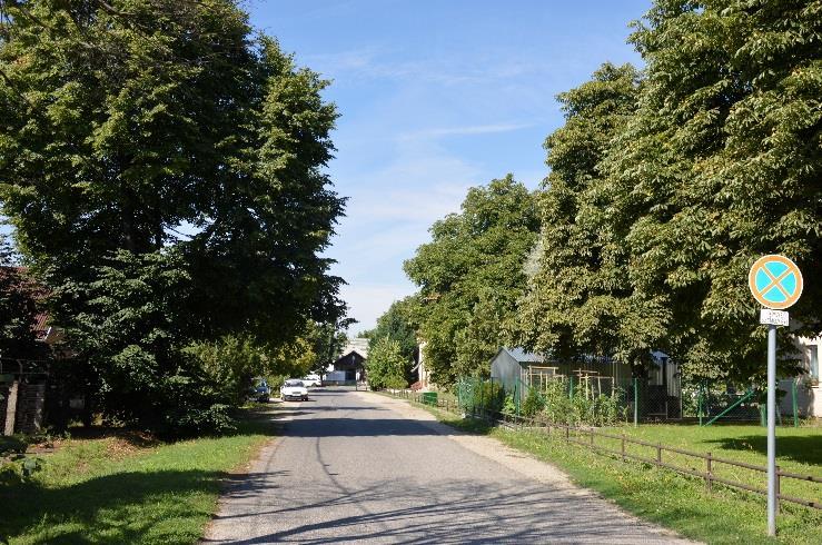 FALUKÖZPONTI TERÜLET Kertek Zöldfelületi ajánlások A szép, gondozott kertek záloga a megfelelő növények kiválasztása, melynél három szempontot mindenképp vegyünk figyelembe.