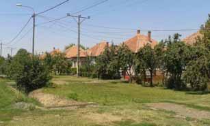 utcára mer leges gerinc.