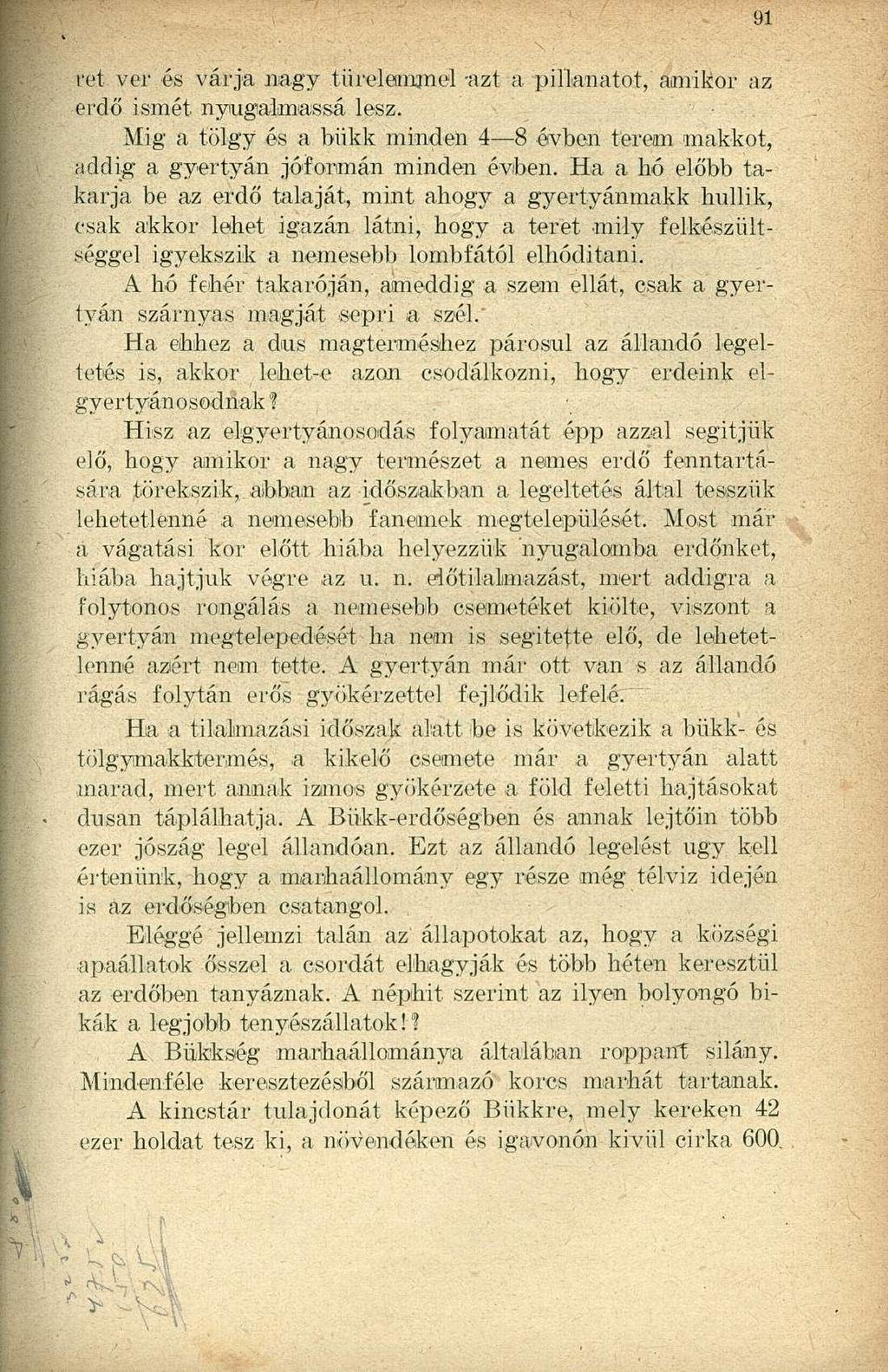 ret ver és várja nagy türelemmel -azt a pillanatot,' amikor az erdő ismét nyugalmassá lesz. Mig a tölgy és a bükk minden 4 8 évben terem makkot, addig a gyertyán jóformán minden évben.