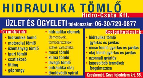 Kecskemétre jövő év szeptemberében érkezik a megmozdulás, melyre hamarosan jelentkezni